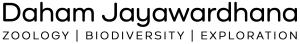 Daham Jayawardhana